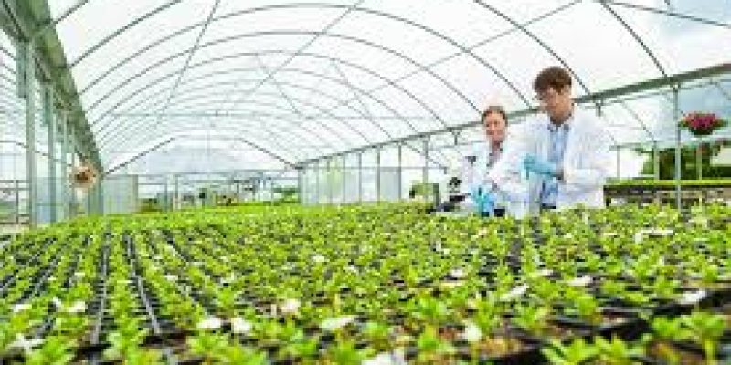 J&K government to announce horticulture policy soon