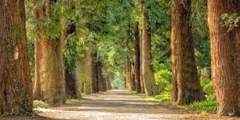 International Day for Biological Diversity 2022: 22 May