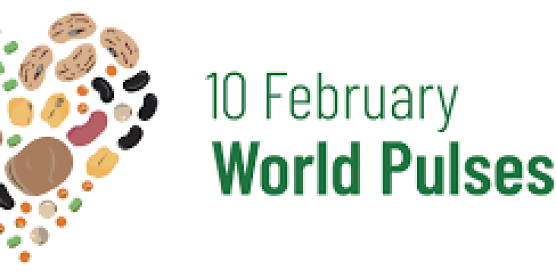 World Pulses Day: 10 February 2022