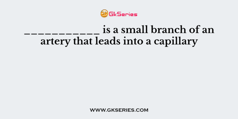 ___________ is a small branch of an artery that leads into a capillary