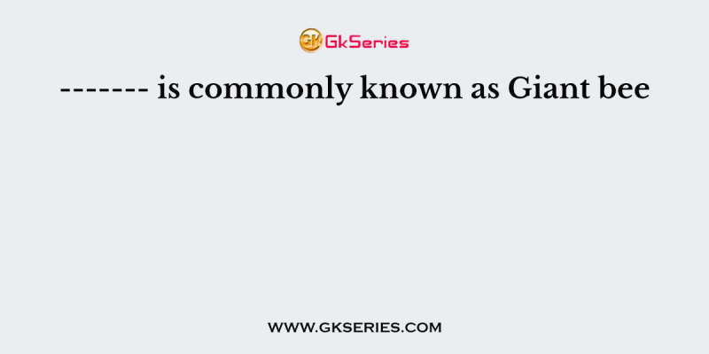 ——- is commonly known as Giant bee