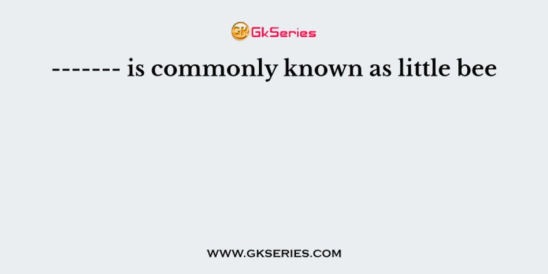 ——- is commonly known as little bee
