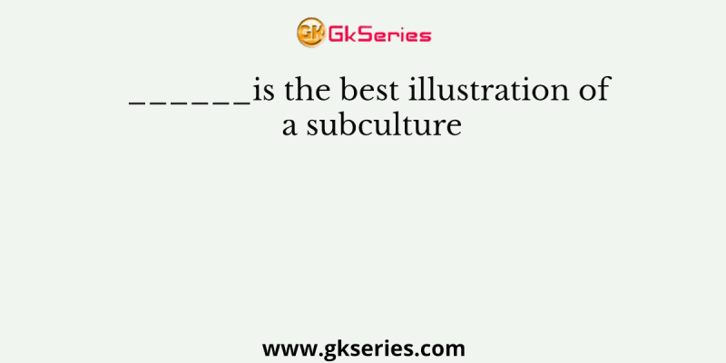 ______is the best illustration of a subculture
