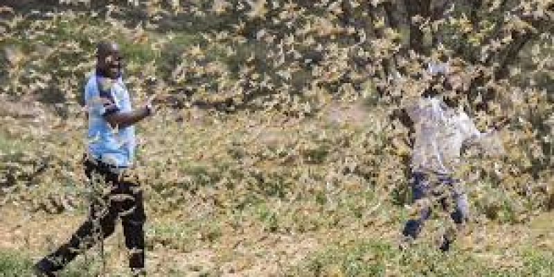 Indigenous Airborne Locust Control System on Mi-17 Helicopter