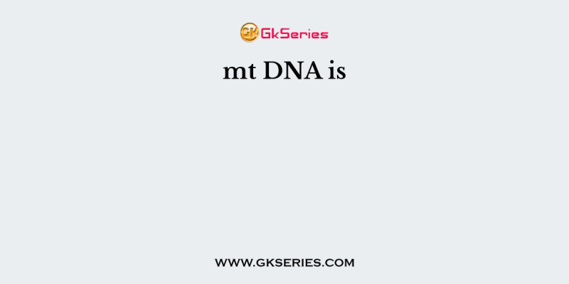 mt DNA is
