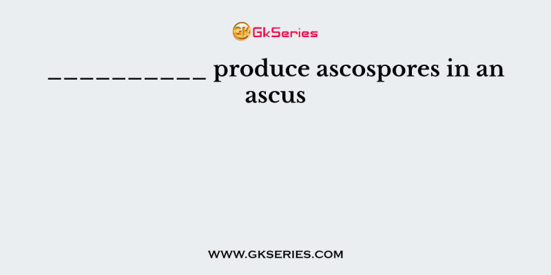 __________ produce ascospores in an ascus