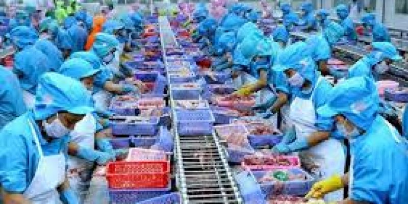 Challenges faced by seafood exporters