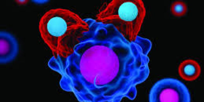 Even the sickest COVID-19 patients produce T cells that help fight the virus