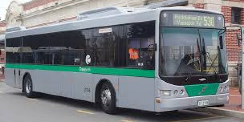 Standardised transport vehicles dimensions on international norms