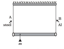 Mechanical Properties of Solids