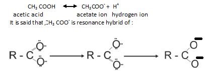 Class 12 Chemistry Notes Chapter 12