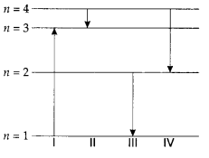 Class 12 Physics Chapter 12 Atoms