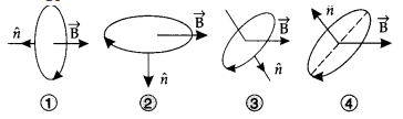 Class 12 Physics Chapter 5 Magnetism and Matter