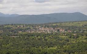 conservationist joins panel on elephant corridor case