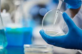 india to accelerate scientific discoveries with quantum computing-led r&d