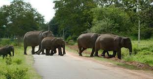 national board of wildlife approved advisory for human