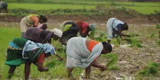 pradhan mantri fasal bima yajana successfully completes 5 years