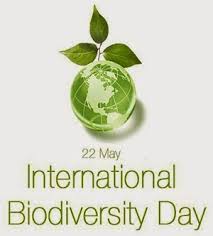World Biodiversity Day