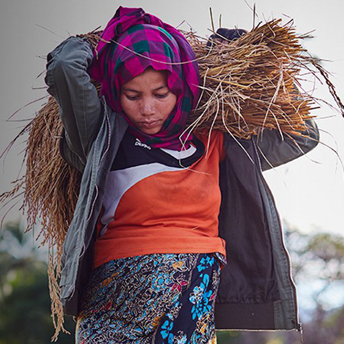 UN celebrated May 23