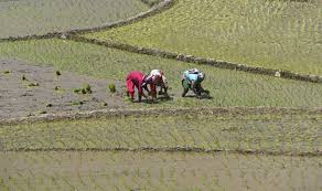 centre to release 18000 crore under pm kisan scheme