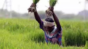 national farmers day 2020