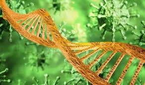 india becomes first country to isolate new uk covid 19 strain