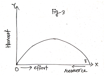 Relationship between effort and harvest