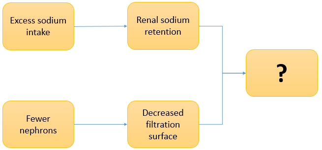 drug biotechnology questions answers mcqs