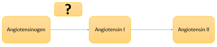 drug biotechnology questions answers mcqs
