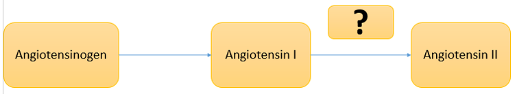 drug biotechnology questions answers mcqs